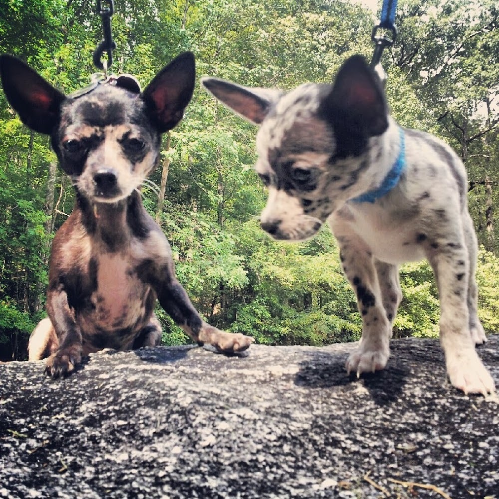 Meet your Posher, Hash